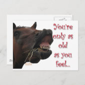 Alt wie ein lustiges Pferd Postkarte (Vorne/Hinten)