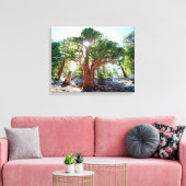 Alt wuchernde Juniperbaum in den Sierras Leinwanddruck (Insitu (Wohnzimmer))