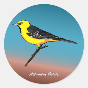 Altamira Oriole rev.2.0 Knöpfe u. Aufkleber