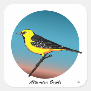 Altamira Oriole rev.2.0 Tasten & Stickers