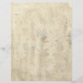 Altbau Flyer (Hinten)