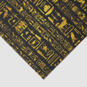 Alte ägyptische Hieroglyphen Gold schwarze Decopag Seidenpapier (Detail)