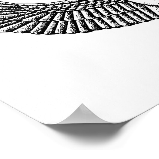 Alte ägyptische Skarabäerin schwarz und weiß Poster (Ecke)