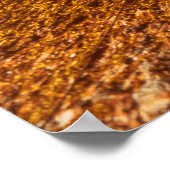 Alte Aiola. Traditionelles portugiesisches Boot am Poster (Ecke)