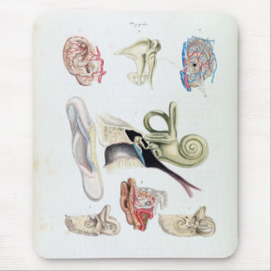 Alte Anatomie des menschlichen Ohrs Mousepad