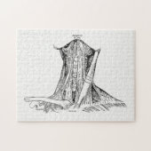 Alte Anatomie-Illustrations-Muskeln des Halses Puzzle (Horizontal)
