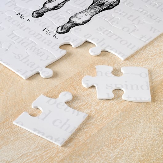 Alte Anatomie KunstMuskeln der Hand und des Handge Puzzle (Seite)