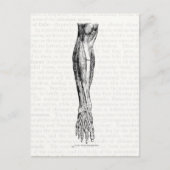 Alte Anatomie zeichnend Muskeln des Beins schwarz Postkarte (Vorderseite)