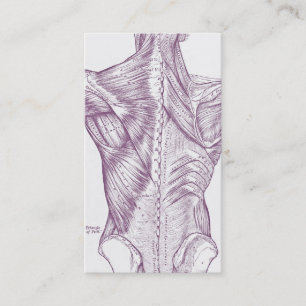 Alte Anatomiekunstmuskeln von dem hinteren Lila Visitenkarte