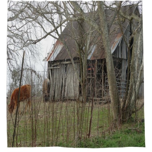 Alte antike Scheune Duschvorhang (Vorderseite)