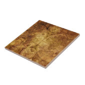 Alte antike Weltkarte Historisch Fliese (Seite)