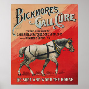 Alte Anzeige für Bickmore's Gall Cure für Pferde. Poster