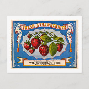 Alte Anzeige für frische Erdbeeren um 1868 Postkarte