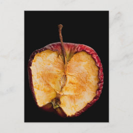 Alte Apfel Postkarte