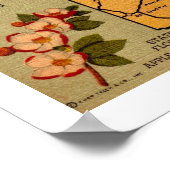 Alte Arkansas Postkarte Drucken Poster (Ecke)