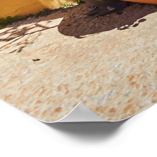 Alte, authentische grüne Türen in Nikosia Zypern Poster (Ecke)