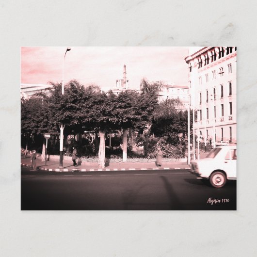 Alte Autos Gebäude Algerien Algier Postkarte (Vorderseite)