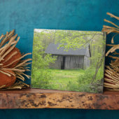 Alte Barschebene Fotoplatte (Seite)