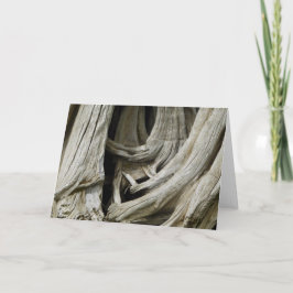 Alte Baum-Herz-Karte Karte