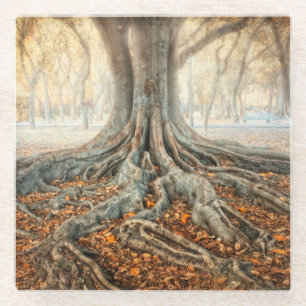 Alte Baum-Wurzeln Glasuntersetzer