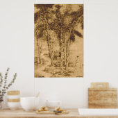 Alte Bäume drucken Poster (Küche)