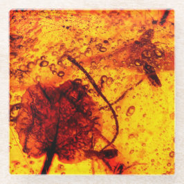 Alte bernsteinfarbige Einbeziehungen Glasuntersetzer