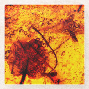 Alte bernsteinfarbige Einbeziehungen Glasuntersetzer