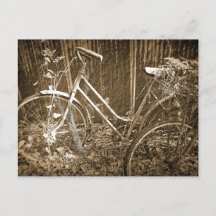 Alte Bikes Postkarte