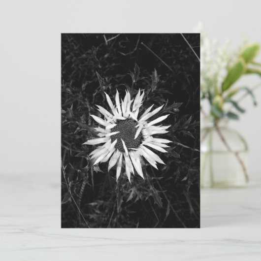 Alte Blume Einladung (Stehend Vorderseite)