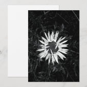 Alte Blume Einladung (Vorne/Hinten)