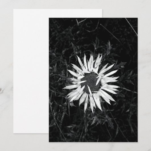 Alte Blume Einladung (Vorne/Hinten)