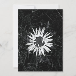 Alte Blume Einladung