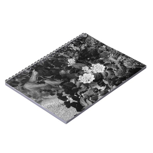 Alte Blume Notizblock (Linke Seite)