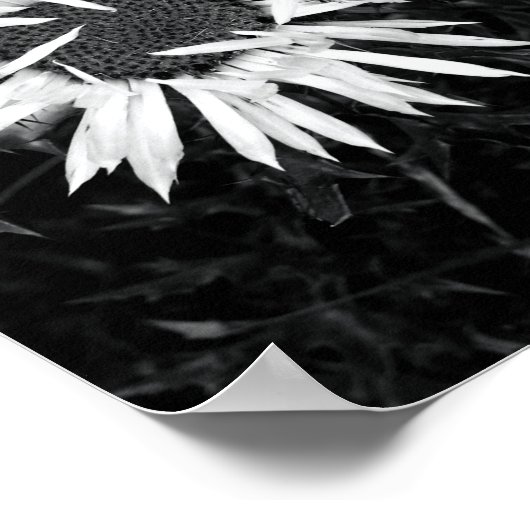 Alte Blume Poster (Ecke)