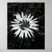 Alte Blume Poster (Vorne)