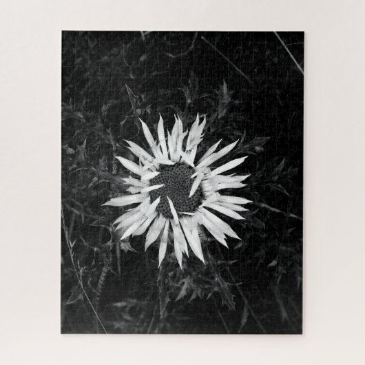 Alte Blume Puzzle (Vertikal)