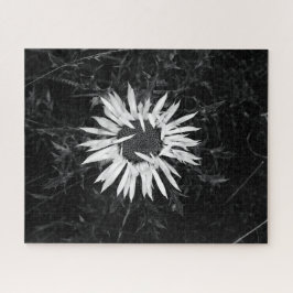Alte Blume Puzzle