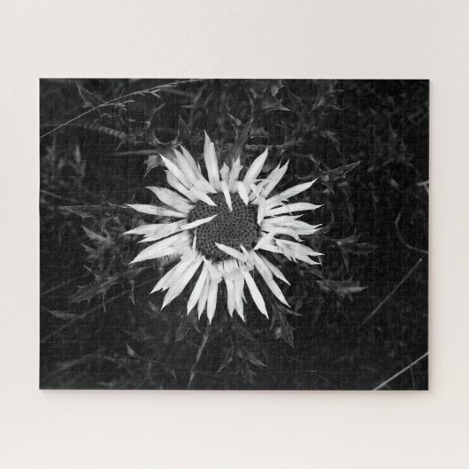 Alte Blume Puzzle (Horizontal)