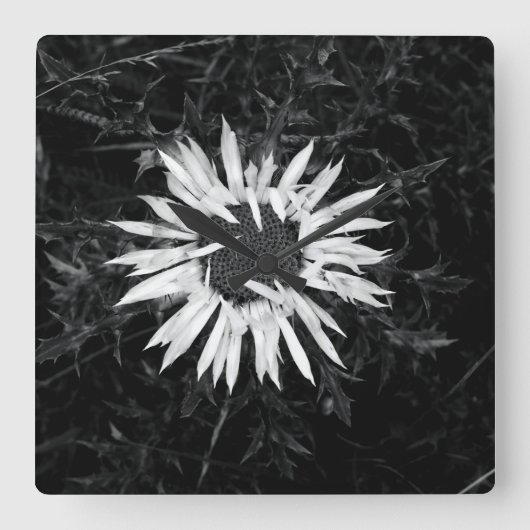 Alte Blume Quadratische Wanduhr (Vorderseite)