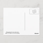 Alte Boote, Kuwait Postkarte (Rückseite)