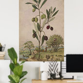 Alte botanische Kunst, Dichtung und Musik Poster (Heimbüro)