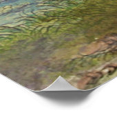 Alte botanische Kunst - Safran Poster (Ecke)