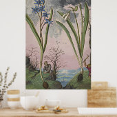 Alte botanische Kunst Snowdrop Poster (Küche)