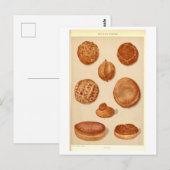 Alte Brote der Balkanländer Postkarte (Vorne/Hinten)