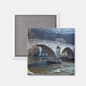 Alte Brücke, Freiburg, Schweiz Magnet (Vorderseite/Rückseite)