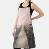 Alte Brücke mit rostigen Metallschienen in der Näh Schürze (InSitu)