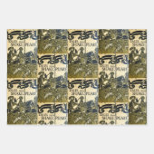 Alte Buchabdeckungen (Beige & Grün) Geschenkpapier Set (Vorderseite 2)