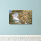 Alte Buche Leinwanddruck (Insitu (Holzboden))