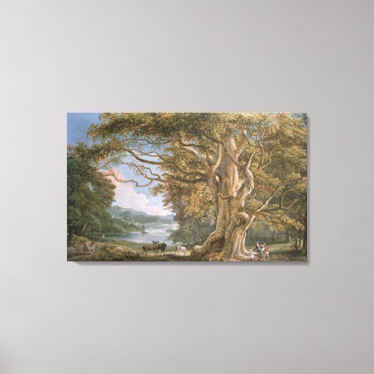 Alte Buche Leinwanddruck (Vorderseite)