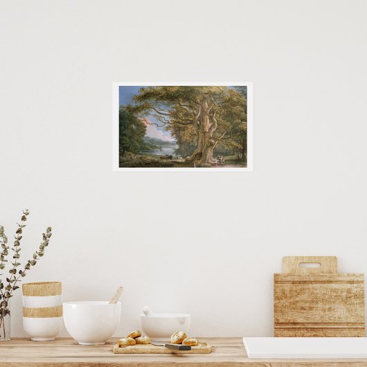 Alte Buche Poster (Küche)